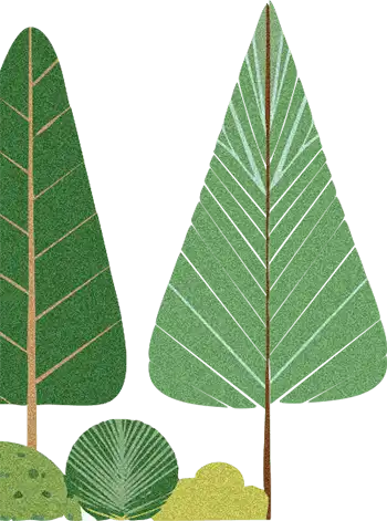 木々のイラスト