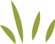 草のイラスト