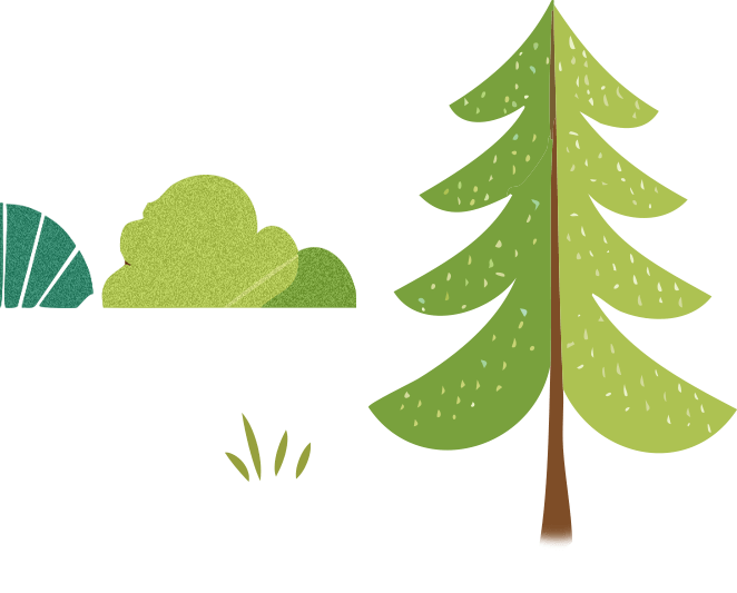 木と草のイラスト