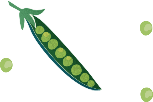 いんげんのイラスト