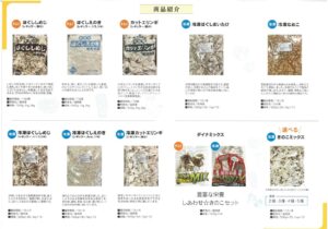 NEWSのアイキャッチ画像
